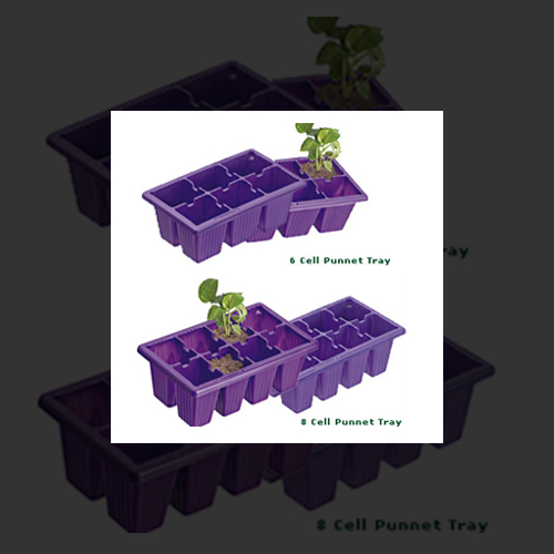 8 Cell Punnet Tray